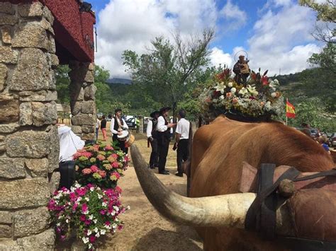 fiestas navacerrada|Fiestas de Navacerrada 2024